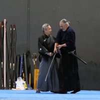 Iniciativa Nihon Budo Sai